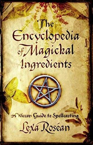 Crafting Charms and Incantations in My Own Magic Book